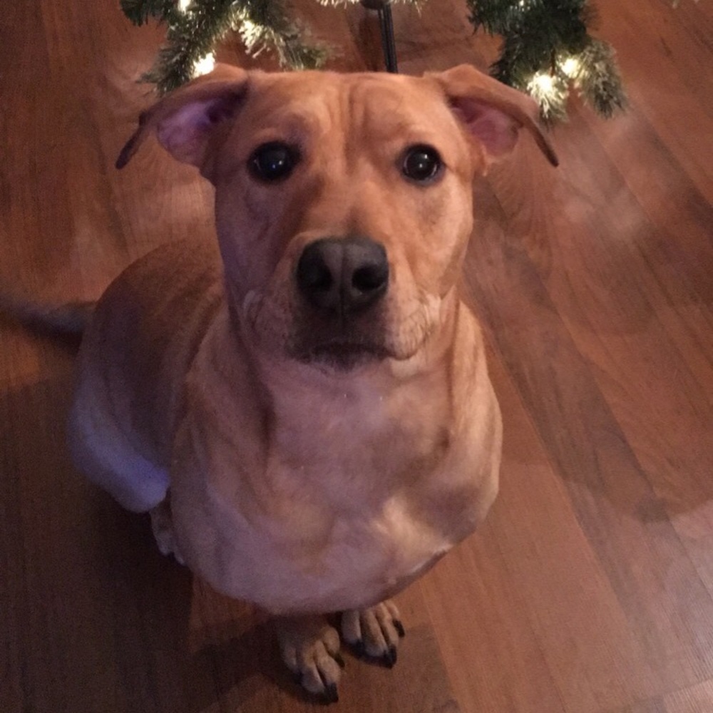 Meet your Posher, Tayler